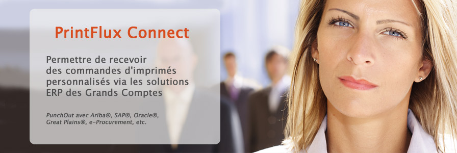 Printflux Connect - Permettre de recevoir des commandes d'imprimes personnalises via les solutions ERP des grands comptes. PunchOut, eprocurment